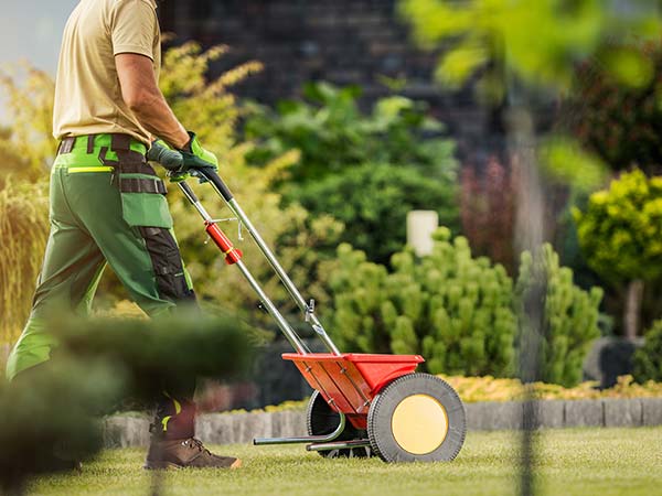 fertilizer programs