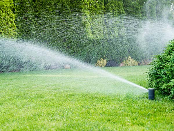irrigation system