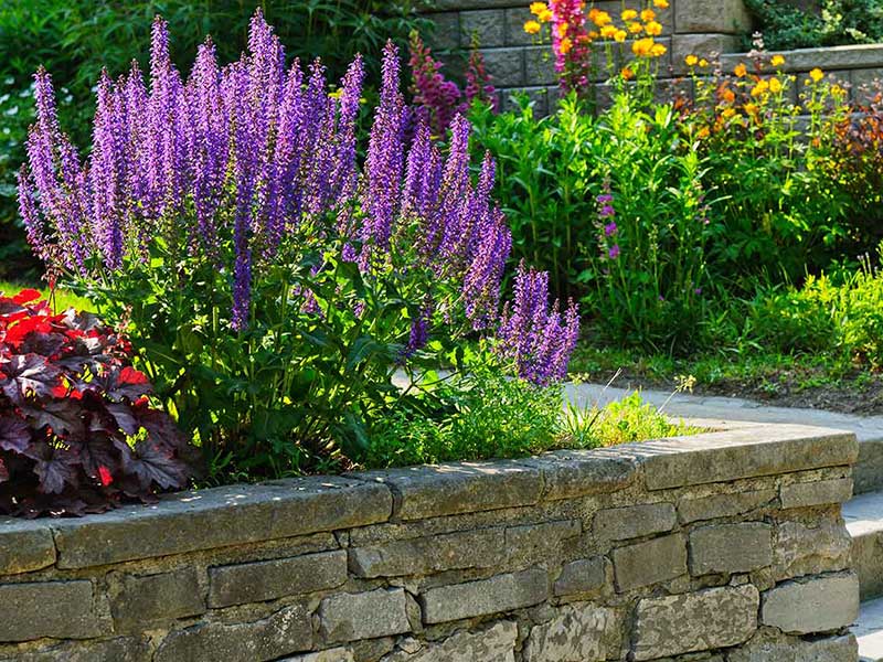 irrigation system card best