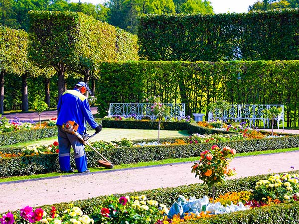 landscape design
