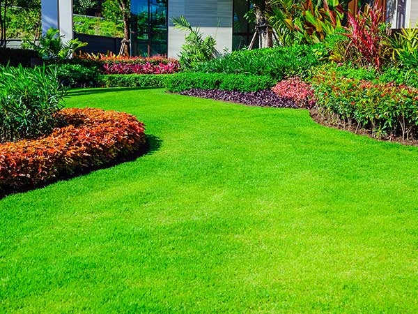 Residential maintenance